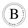 Behm Consulting LLC